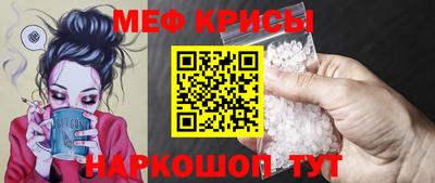 ешки Кингисепп