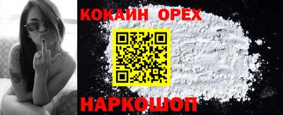 ешки Кингисепп