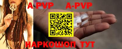 ешки Кингисепп