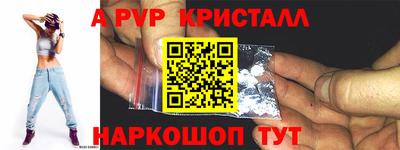 ешки Кингисепп