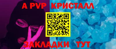 ешки Кингисепп